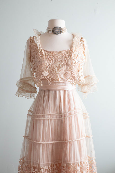 Exquisite Edwardian Robe de Style Blush Pink Silk Tea Dress / Small