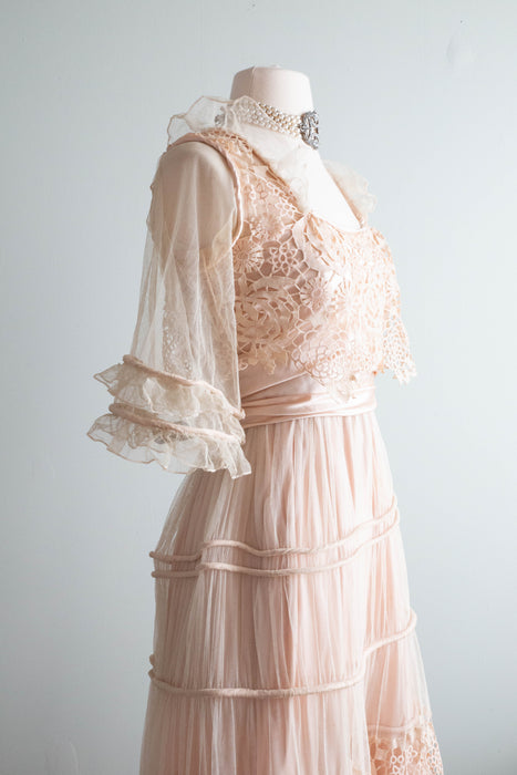 Exquisite Edwardian Robe de Style Blush Pink Silk Tea Dress / Small