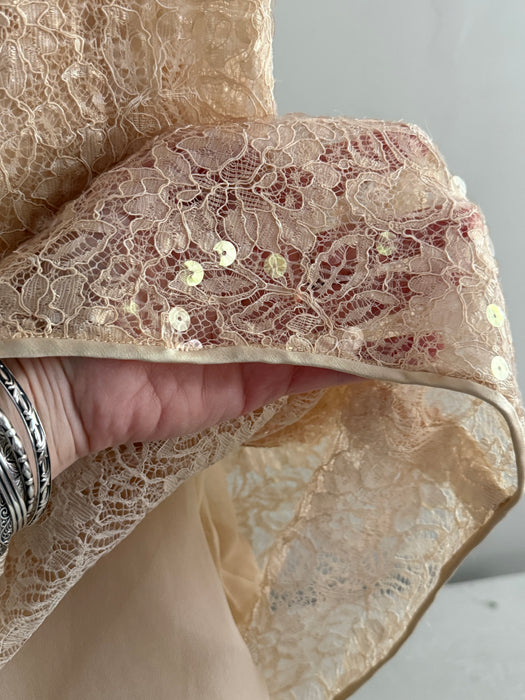 Stunning 1990's Shimmering Sequined Lace & Silk Chiffon Evening Gown / SM