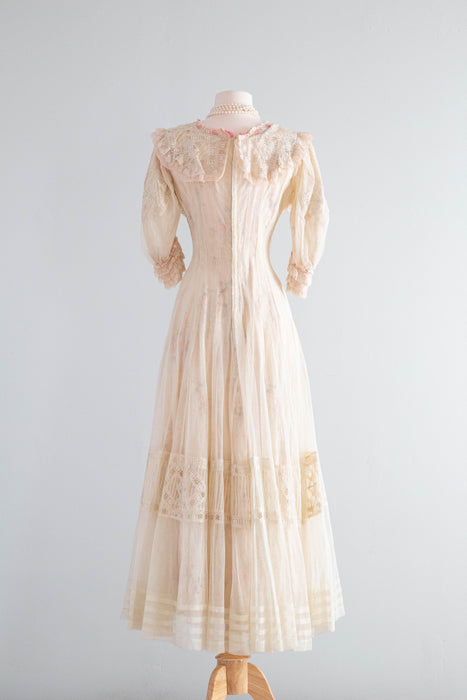 Beautiful 1900's Edwardian Net Lace & Pink Floral Wedding Tea Gown / Small