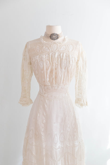 Extraordinary Edwardian Cotton Lawn Ceremony Gown With Intricate Embroidery and Lace / SM