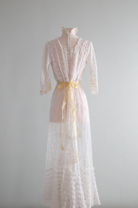 Exquisite Edwardian Embroidered Net Tea Dress With Pale Pink Rosettes / Small