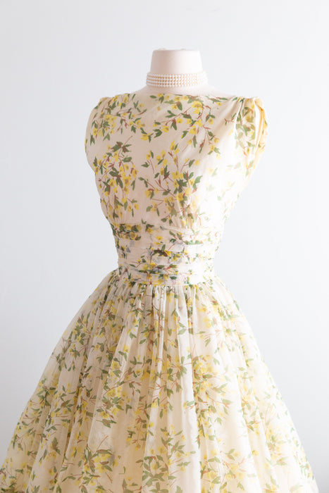 Stunning 1950's Jr. Theme Spring Floral Party Dress / Small