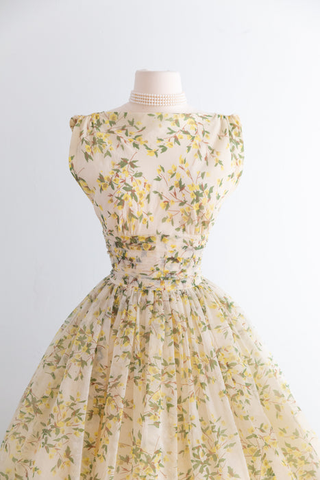 Stunning 1950's Jr. Theme Spring Floral Party Dress / Small