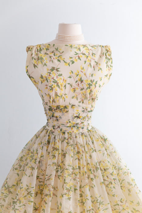 Stunning 1950's Jr. Theme Spring Floral Party Dress / Small