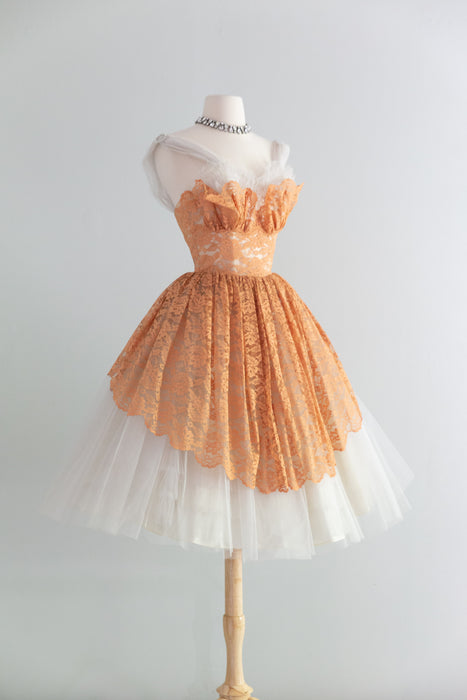 Beautiful 1950's Apricot Lace & Tulle Ballerina Party Dress / XS Xtabay Vintage Beautiful 1950's Apricot Lace & Tulle Ballerina Party Dress / XS Xtabay Vintage