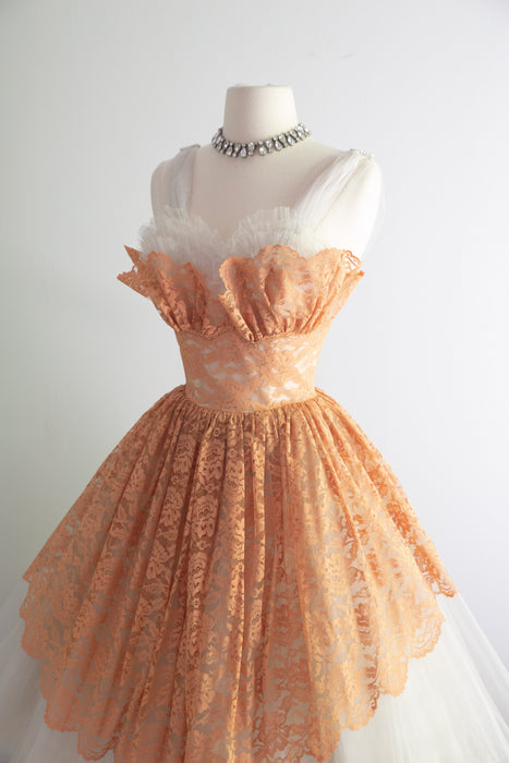 Beautiful 1950's Apricot Lace & Tulle Ballerina Party Dress / XS