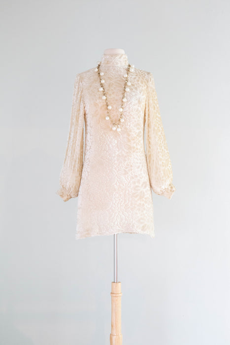 Fabulous & Rare 1960's Rudi Gernreich Golden Ivory Devore' Silk Velvet Mini Dress / S