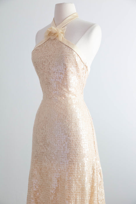 Stunning 1990's Shimmering Sequined Lace & Silk Chiffon Evening Gown / SM