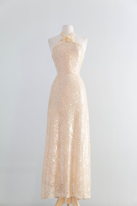 Stunning 1990's Shimmering Sequined Lace & Silk Chiffon Evening Gown / SM
