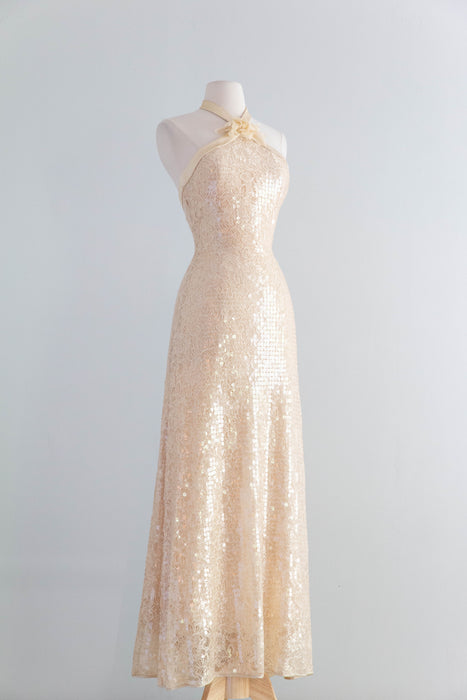 Stunning 1990's Shimmering Sequined Lace & Silk Chiffon Evening Gown / SM