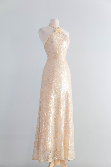 Stunning 1990's Shimmering Sequined Lace & Silk Chiffon Evening Gown / SM