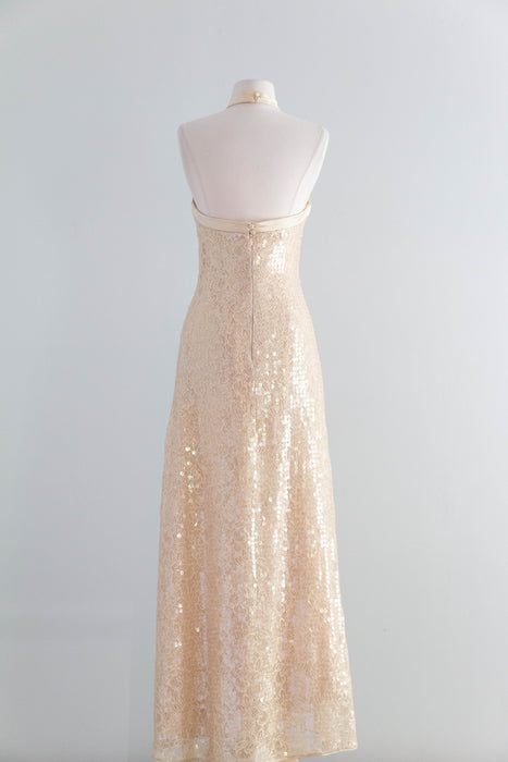 Stunning 1990's Shimmering Sequined Lace & Silk Chiffon Evening Gown / SM