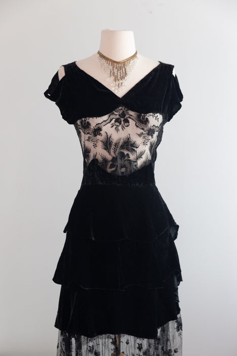 Exquisite 1930's Silk Velvet & Embroidered Net Evening Dress / SM