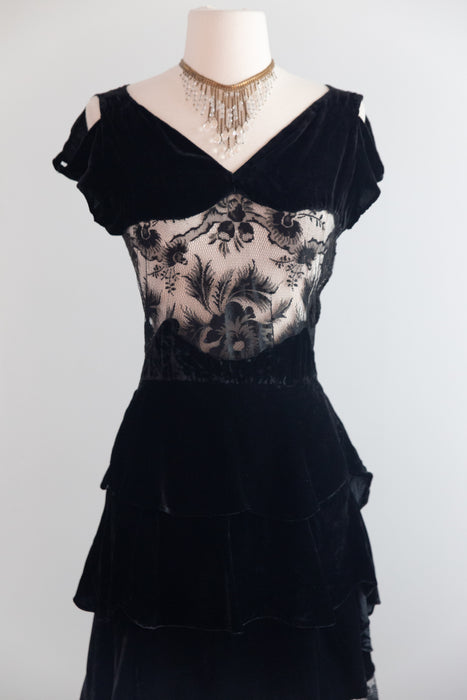 Exquisite 1930's Silk Velvet & Embroidered Net Evening Dress / SM