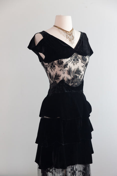 Exquisite 1930's Silk Velvet & Embroidered Net Evening Dress / SM