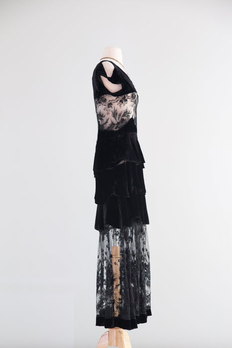 Exquisite 1930's Silk Velvet & Embroidered Net Evening Dress / SM