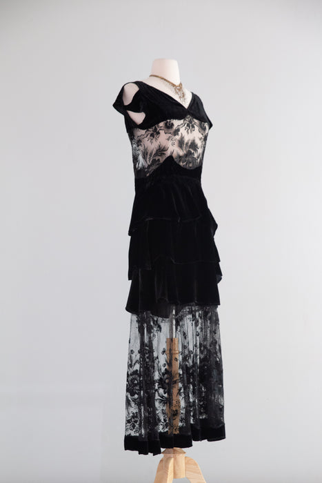 Exquisite 1930's Silk Velvet & Embroidered Net Evening Dress / SM