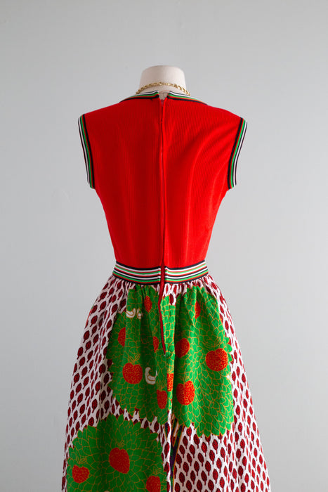 Fabulous Early 1970's Bold Scenic Bird Print Maxi Dress & Matching Shawl / M