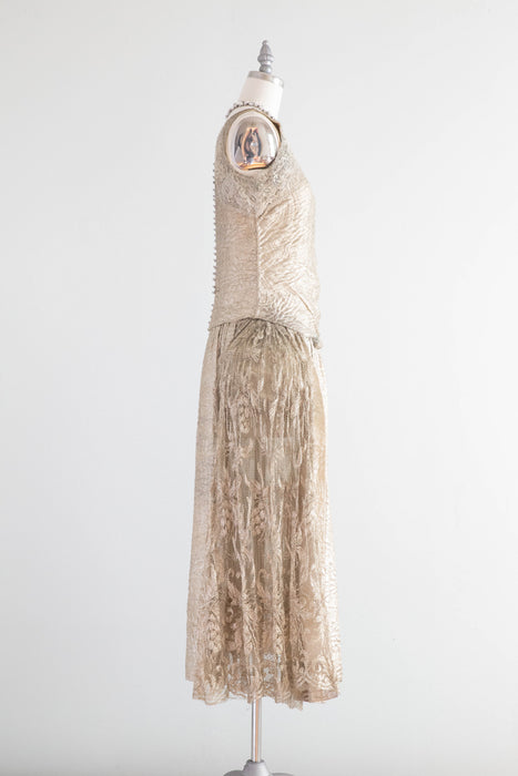 robe de style evening dress The Robe de Style Edwardian Promenade
