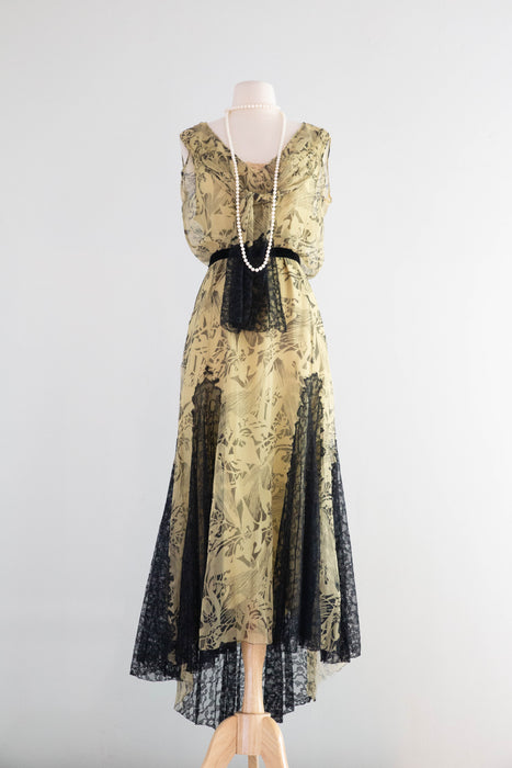 Stunning 1920's Moonlight Silk Chiffon Evening Dress From James McCreery & Co. / ML
