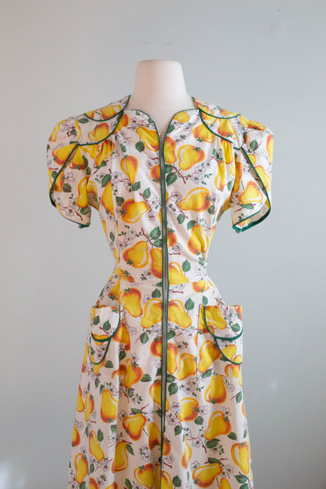 Adorable 1940's Pear Print Cotton Day Dress By Simplicity Frocks / Large