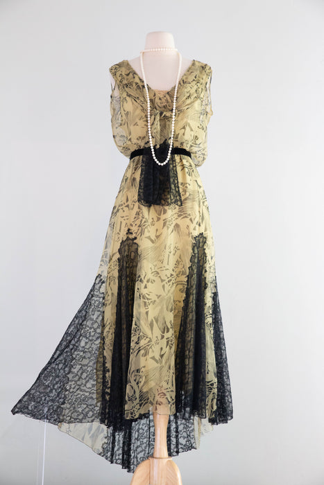 Stunning 1920's Moonlight Silk Chiffon Evening Dress From James McCreery & Co. / ML
