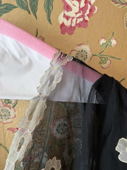 Ethereal 1930's Embroidered Sheer Black Silk Net Bias Cut Gown / S