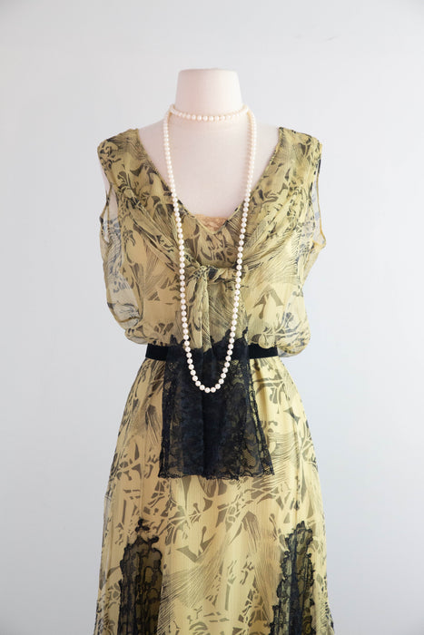 Stunning 1920's Moonlight Silk Chiffon Evening Dress From James McCreery & Co. / ML