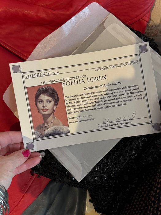 Iconic Early 1960's Beaded Evening Gown From The Personal Wardrobe Of Sophia Loren