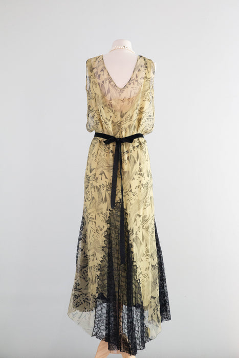 Stunning 1920's Moonlight Silk Chiffon Evening Dress From James McCreery & Co. / ML
