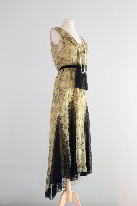 Stunning 1920's Moonlight Silk Chiffon Evening Dress From James McCreery & Co. / ML