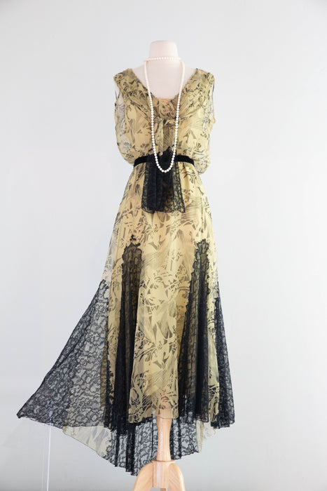 Stunning 1920's Moonlight Silk Chiffon Evening Dress From James McCreery & Co. / ML