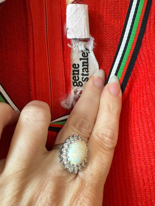 Fabulous Early 1970's Bold Scenic Bird Print Maxi Dress & Matching Shawl / M