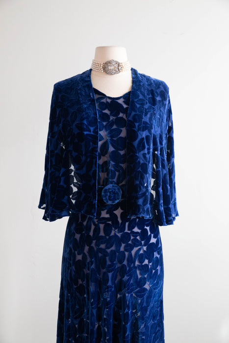 Exquisite 1930s Sapphire Devoré Velvet Bias Cut Evening Gown & Cape / M