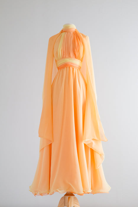 Fabulous 1970s Wildfire Chiffon Gown And Shawl by Lillie Rubin / XS