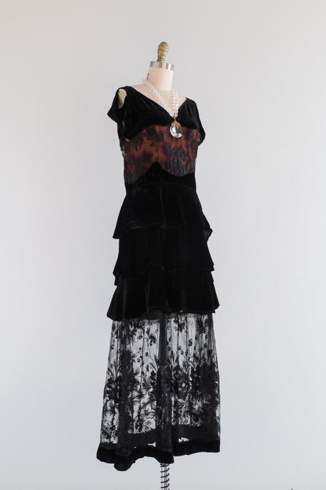 Rare 1920's Silk Velvet Evening Dress With Burnout Velvet Netting / SM