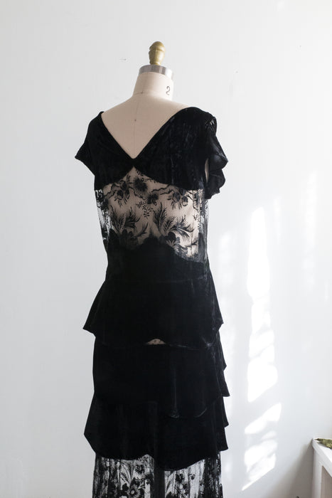 Rare 1920's Silk Velvet Evening Dress With Burnout Velvet Netting / SM